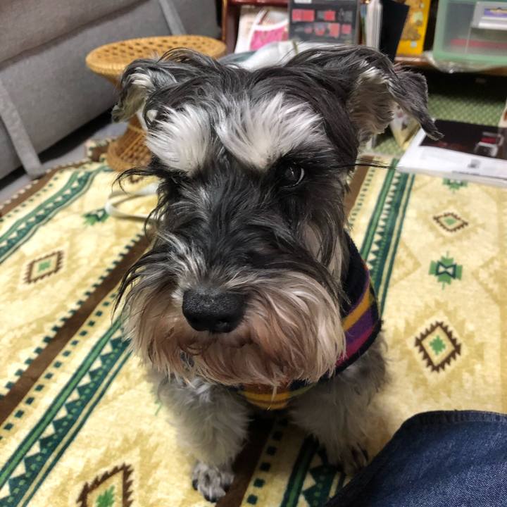 6646ad52 3050 4ed2 8332 2a40aeeb84cf 1615682869105