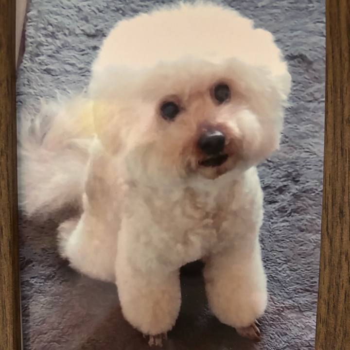 6646b40a a2b4 424b bd38 2e2beee181e4 1767075926285