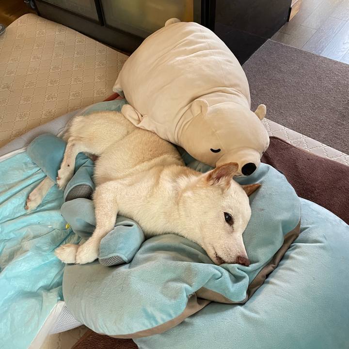 6646b9cf 44a0 4b02 8f6e 5fbbd6023532 1662256781642