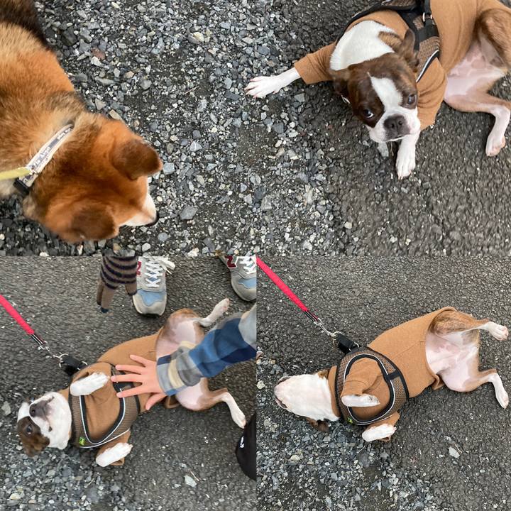 66471e84 26c1 4fc8 afd3 21aa42d39e5a 1670590493624