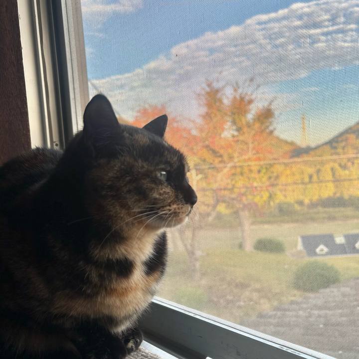 66473a53 2a8a 4c78 99db e6d9b8ba74f2 1762903514875