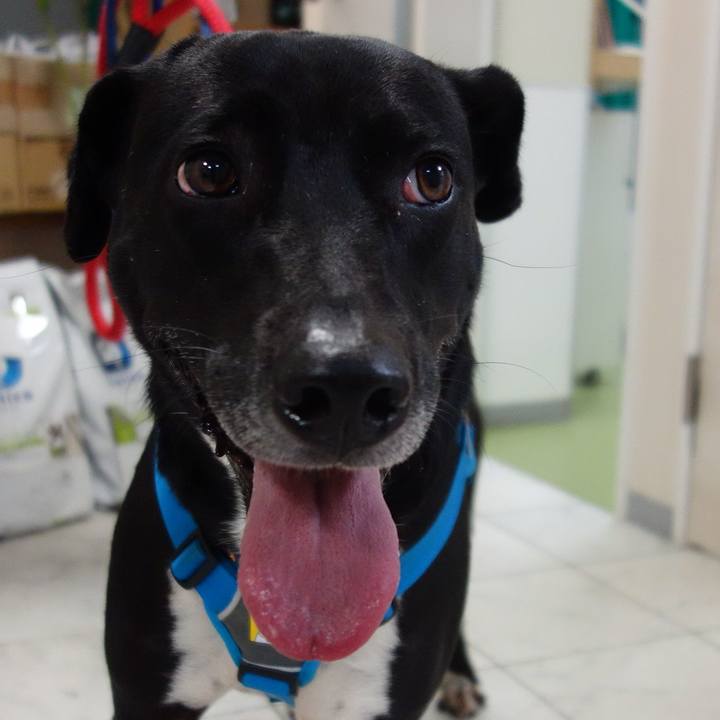 66476982 6b01 4a44 989b cb3341c7244b 1611311470557