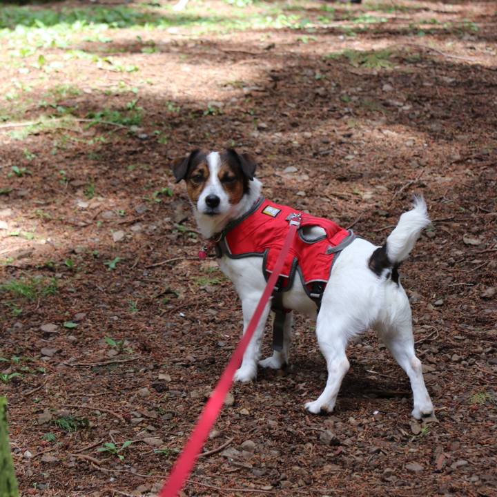 66477675 9445 4cd8 a77d 8eaa7fce2571 1523076899800