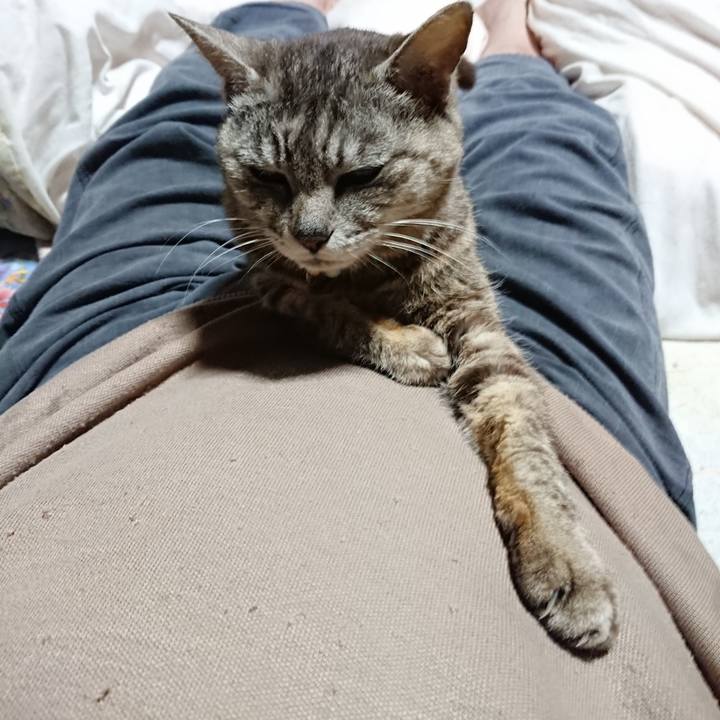 66478dd3 5def 4c23 b7a3 90885efdbca3 1561813403186