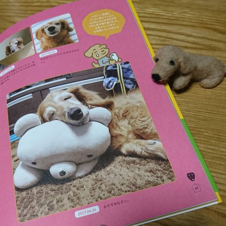 66478ea5 4248 452a bb65 e7220750deac 1556192700782