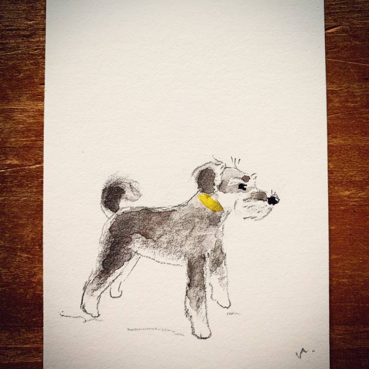 66478f25 7e62 44fe ab83 eb354deff64b 1613526910658