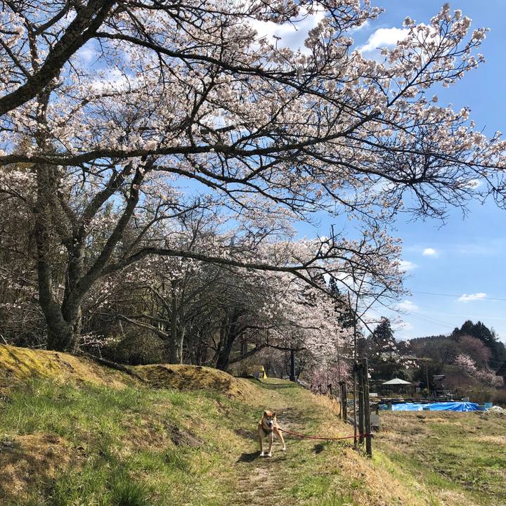 66479273 6385 4026 b484 3eff10562065 1555417487926