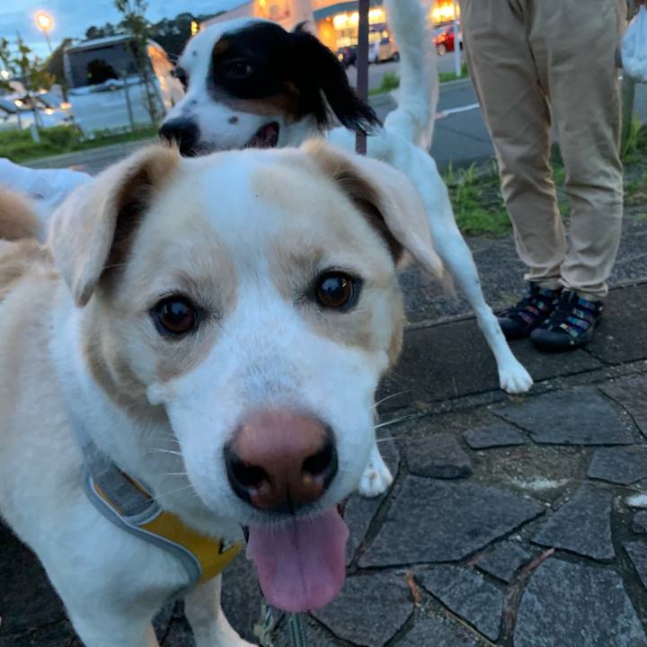 66480e80 19ca 487e b9be d2e2140bb718 1563536363804