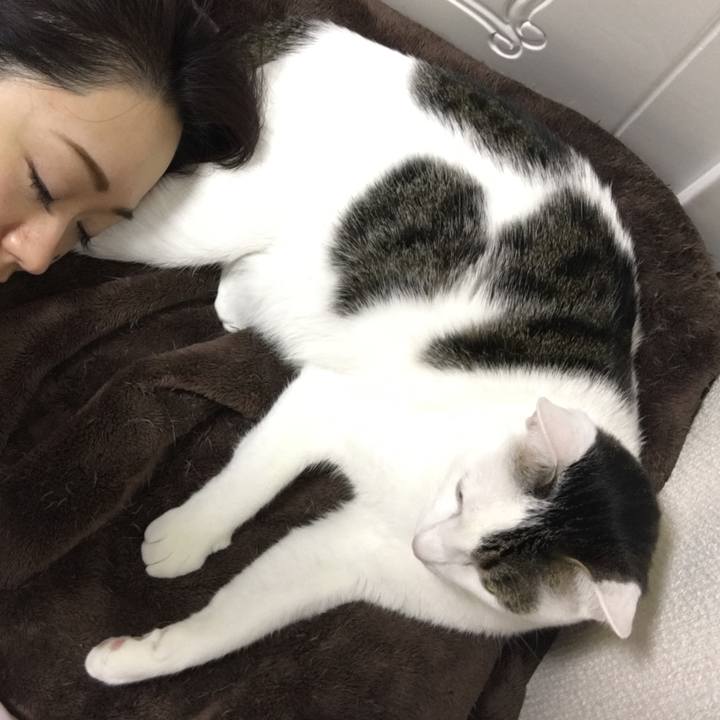 66485ffb add2 4581 a3b2 59dec47768b4 1512397806577