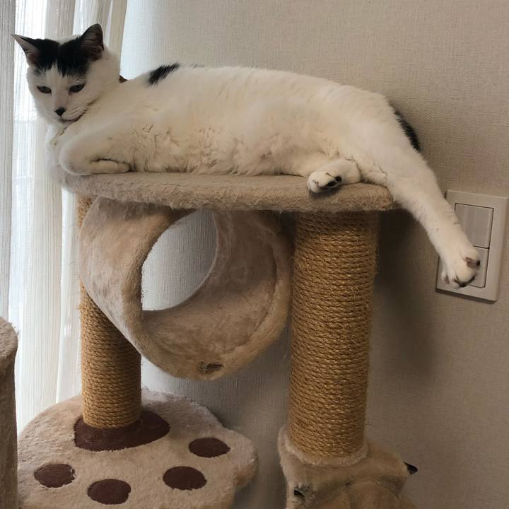 6648af06 68b4 4193 a62e 221f09baf8f6 1541734198581