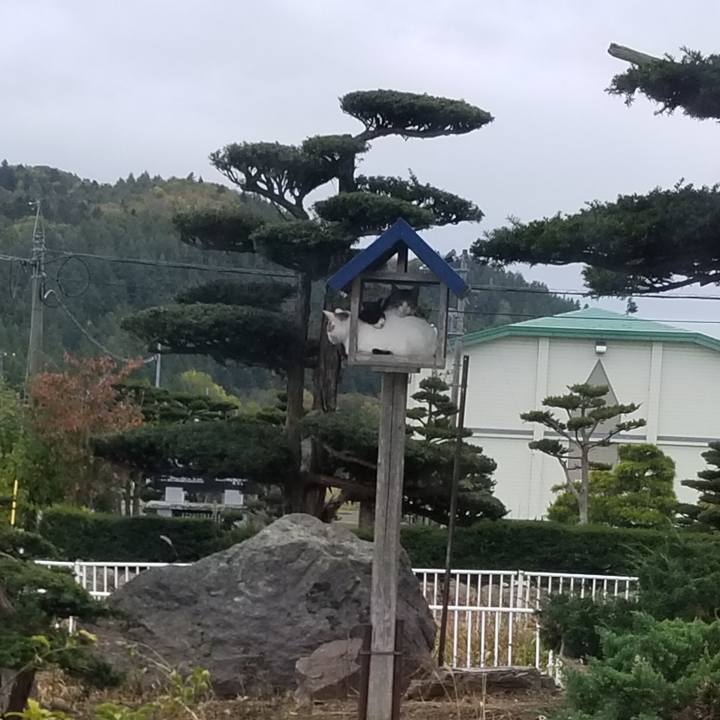 6648b709 5f53 4d29 bba0 2fdfb60541c3 1602758011834