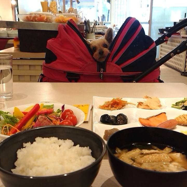 6648da58 ce39 4fd4 a02b 390b5e27c5fc 1584017216806