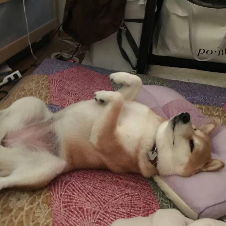 6648f914 d729 4c04 a886 138aaa05def9 1539097747891