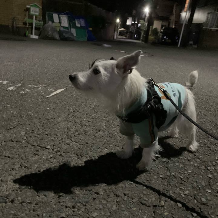 66491f47 aa7a 442a 822c 33fa55a0e4b4 1669641818244