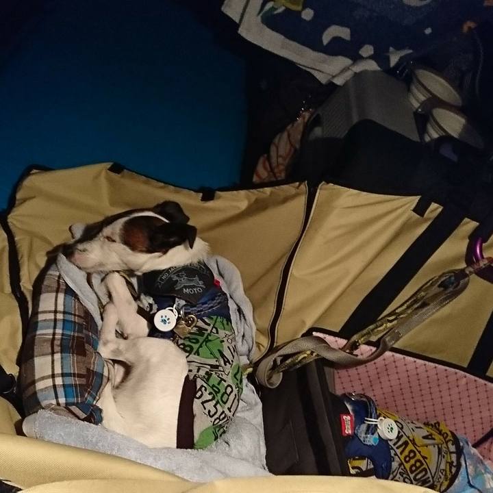 66496ddb 507d 4ba2 a1aa f12400249300 1537719099581