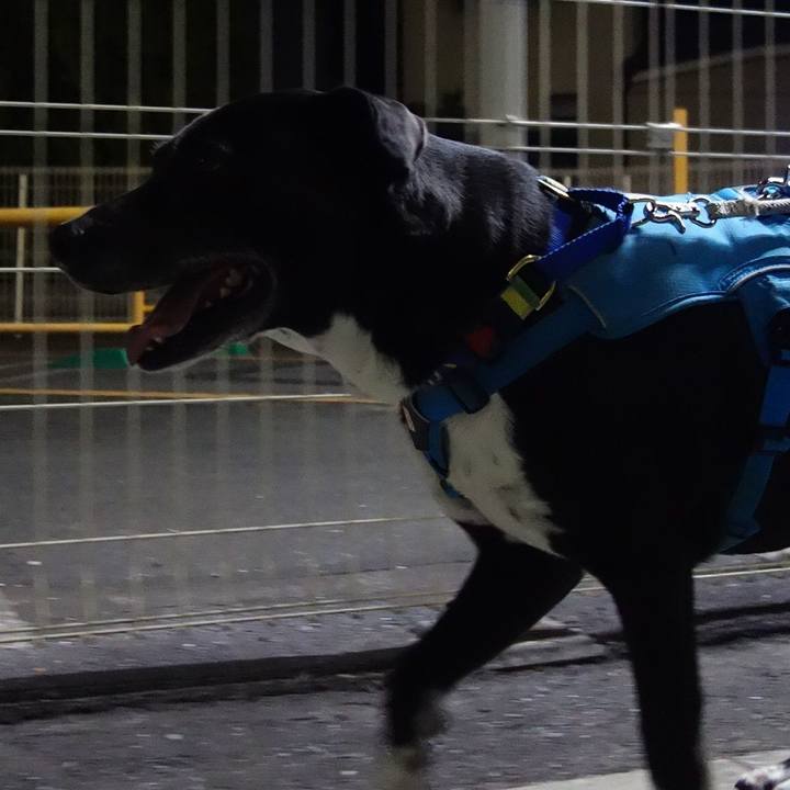 66497202 9e7e 4427 bc04 39aadfac4eb7 1680606940542