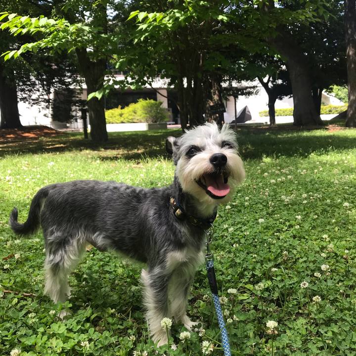 66498142 e854 448e 808b 3b0b60688f56 1561267850175