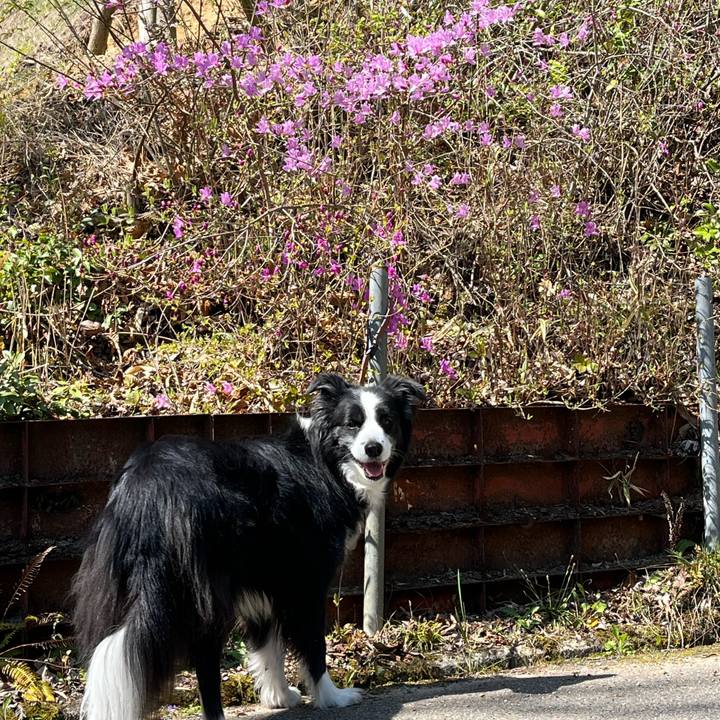 66499e69 1325 4a58 93bd 803ad0b75c17 1775611269998