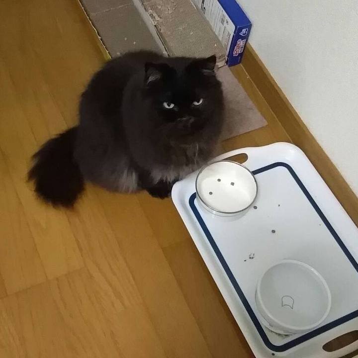 6649a8d5 99e7 4dbe 90c5 b6434397db62 1513332509065