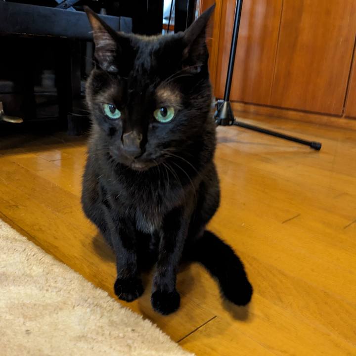 6649e3af c47a 4cbd 9725 c10e7d63febb 1760483815850