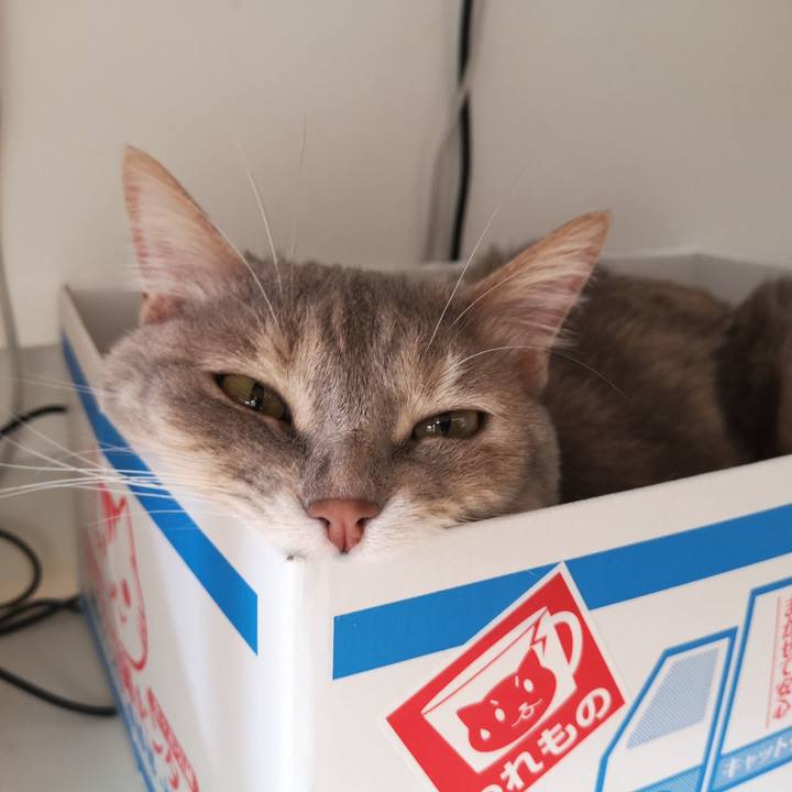 6649ee77 1eda 46cb a75f 6002298745a9 1558315290578