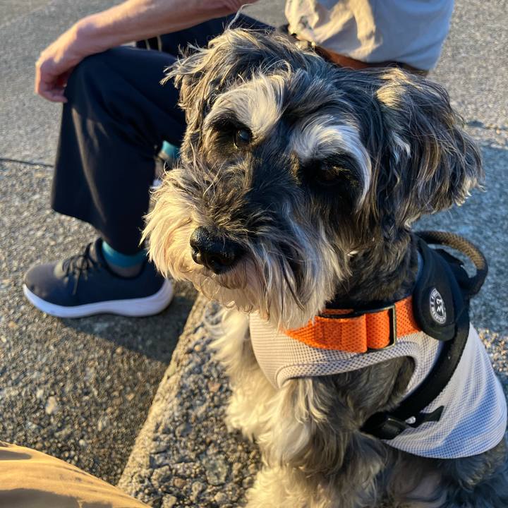 6649f986 d673 4f3e b228 a9cde8bd8c48 1717167944016