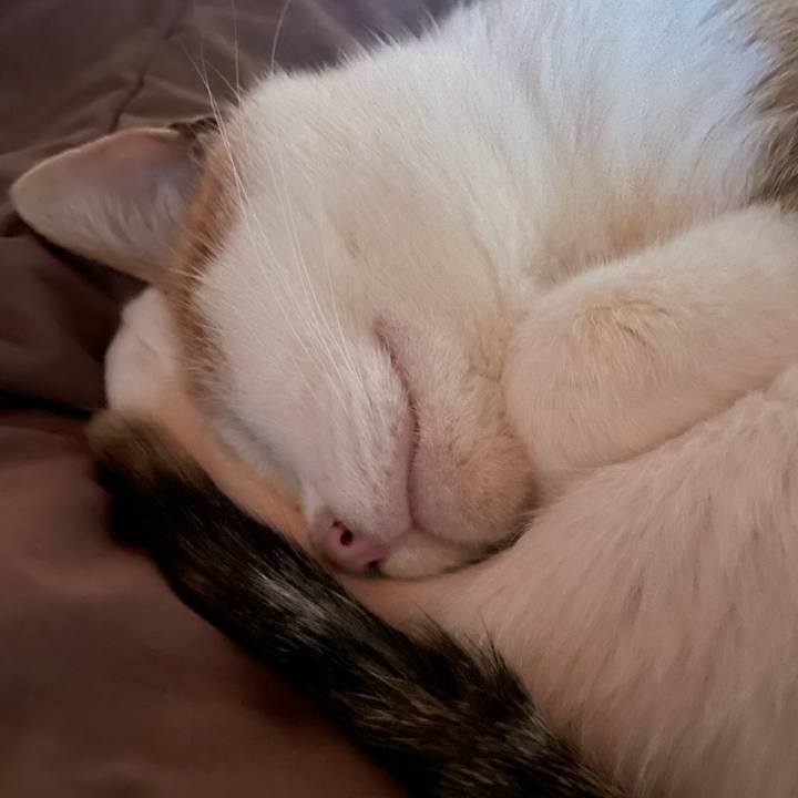 664a17db d4c3 45ca 8ca1 9061d61aa3ef 1643493836524