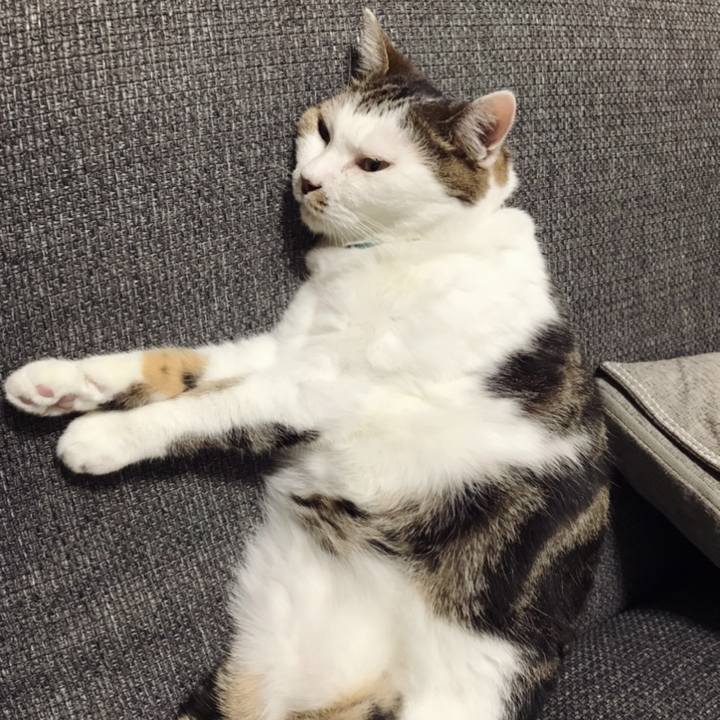 664a35c4 6fb2 40fd 810f 5a3c6576509b 1598845211383