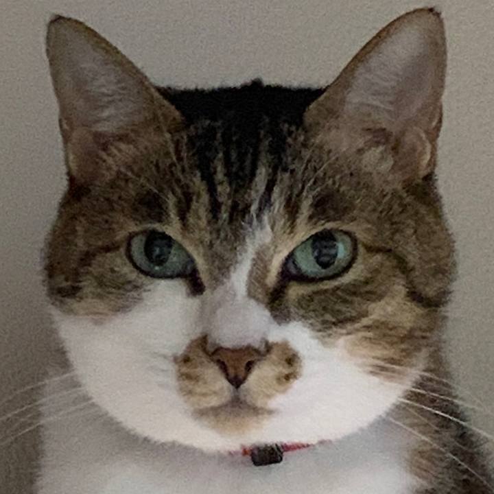 664a3be2 bc2c 46ae bf66 f18b5f4dff9b 1650026570040