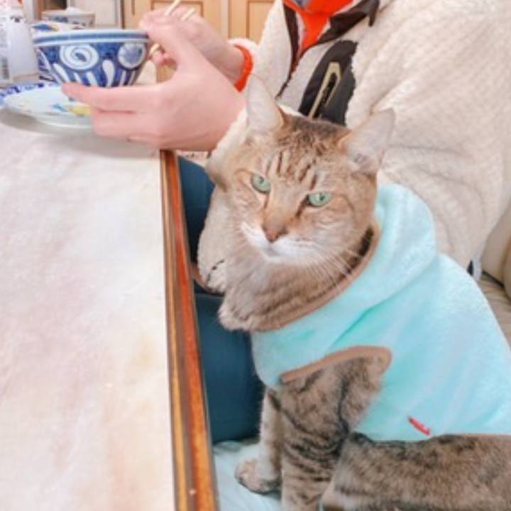 664a4eaa 22e1 4f66 a2fd 493bada4088d 1697888746549