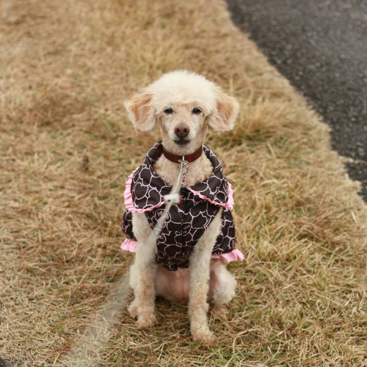 664a93b2 85cc 45fd 9957 95048bc3bec7 1606655081969