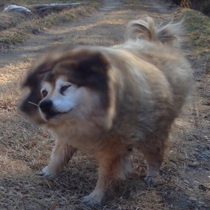 664ab7ff 6b97 45e8 9f11 ab3b7f25cbc8 1549330873669