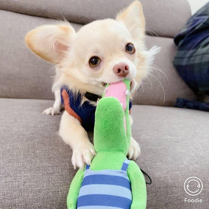 664afacb 941e 4472 ae70 273480a565c4 1603786762162