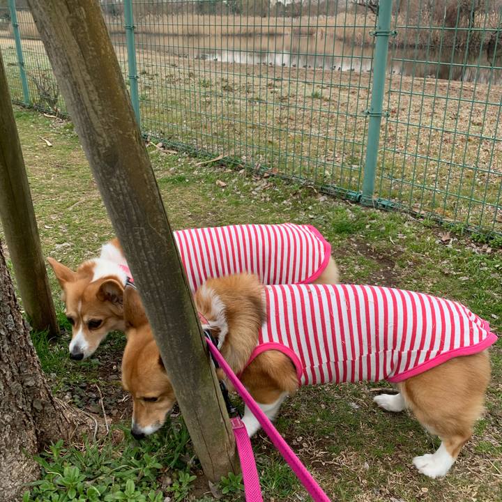 664aff85 0717 4b36 aac5 5da3ccf19ecb 1582183529634