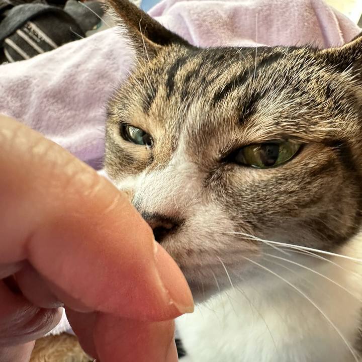 664b022d 9f52 4023 a54c 068cec8fe682 1668128870841