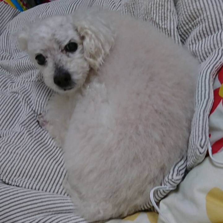 664b2055 2303 430c 936f 2979451e7fad 1589865538844