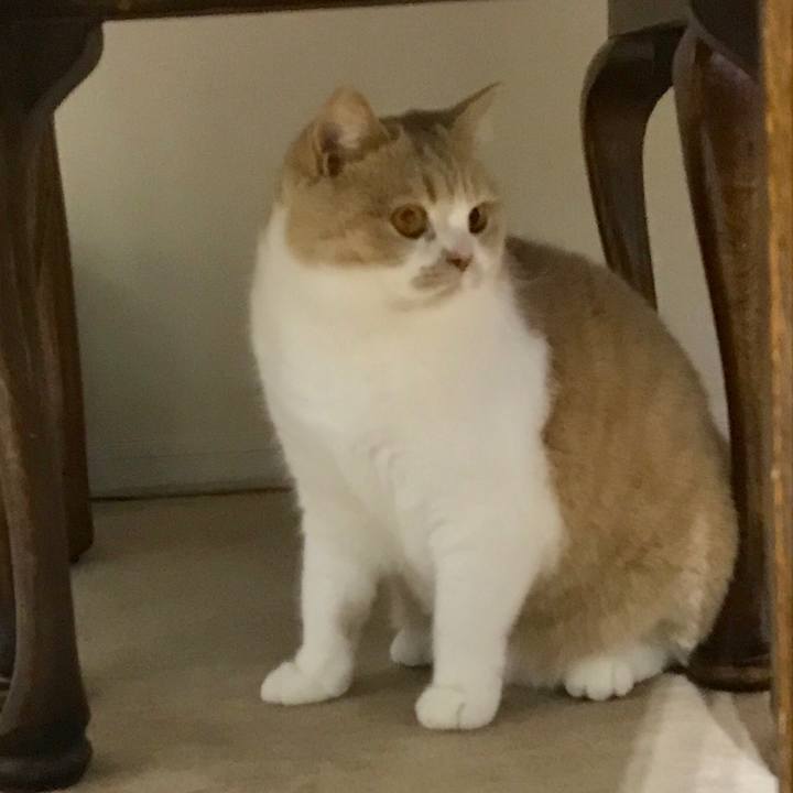 664b3150 ca38 4699 81f7 f32a8a8fe5c7 1519120027206