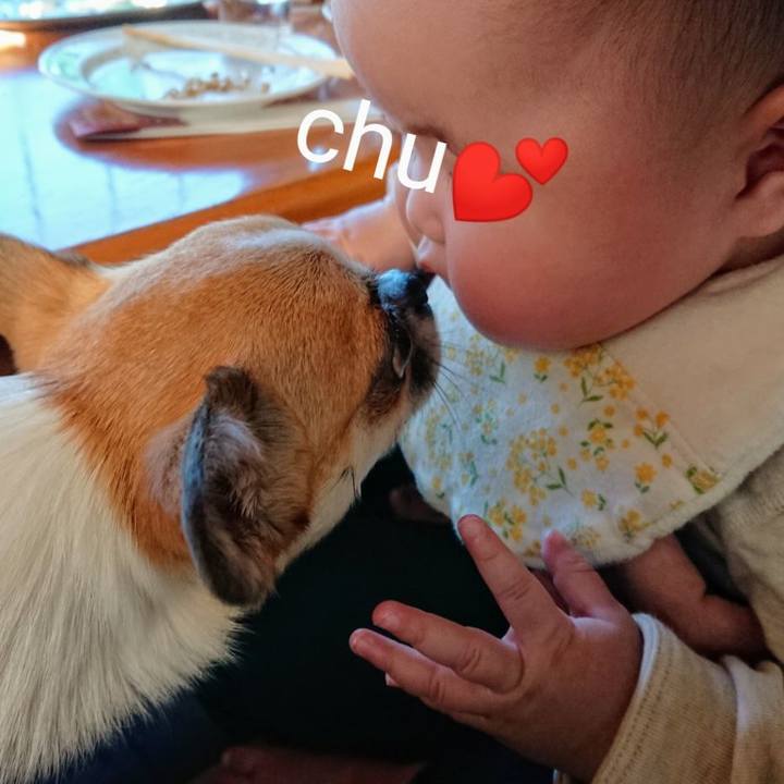 664b48c7 95cc 4213 9a54 2949f5a4da57 1576451673209