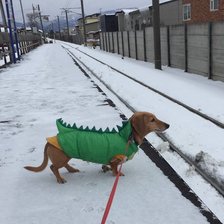 664b5aec 476f 47b0 a242 656ed230868f 1767676013531