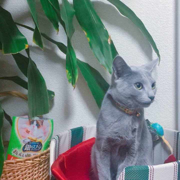 664b7a0d ab24 4ded a68b e0a9a24a03c9 1514861157911