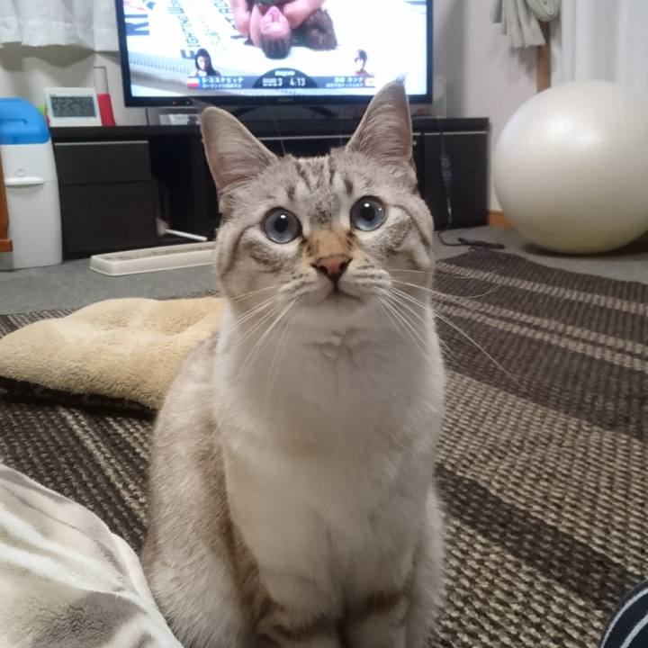 664b8bf2 685b 4841 be19 755909a3a8dd 1508073918346