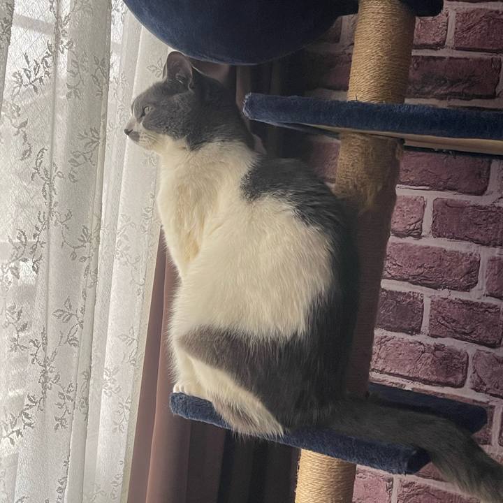 664b95e6 b03b 43f1 b4ff f41e377675b1 1740871086948