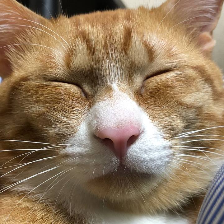 664ba053 1c14 44e0 94c2 055a6b0b4f61 1564821930447