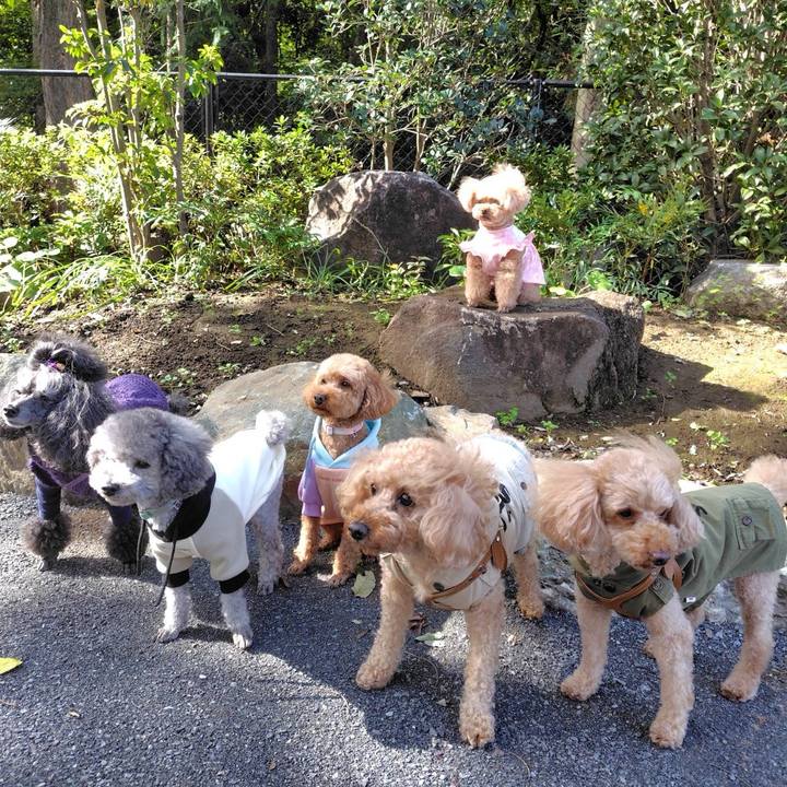 664bb48e 5e26 47e4 bcf0 203bcd86b659 1762034556978