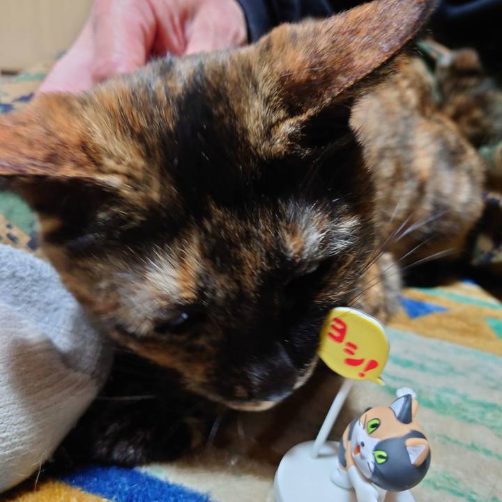 664bba1e 2c4b 4c78 b351 1b5e07b03f18 1700122015934