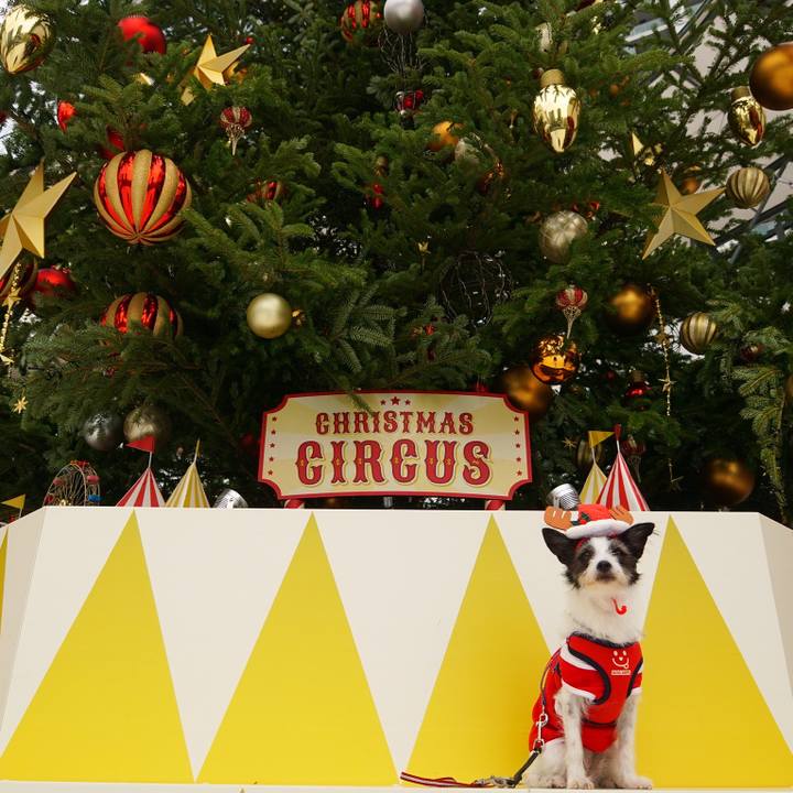 664bd7b8 f5d9 4265 8799 bbe9a644b770 1608800291891