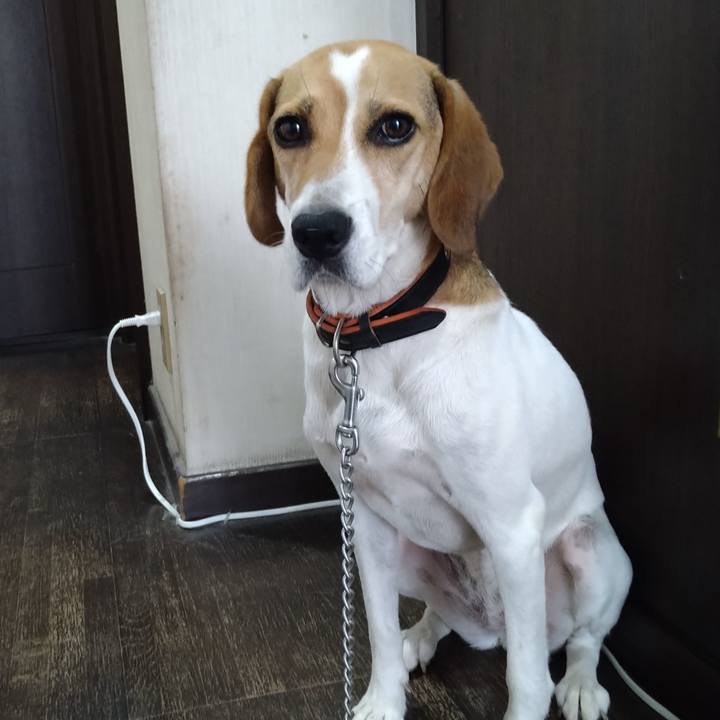 664bef6c 7bb5 41db bd10 5e906f1d490d 1629112759757