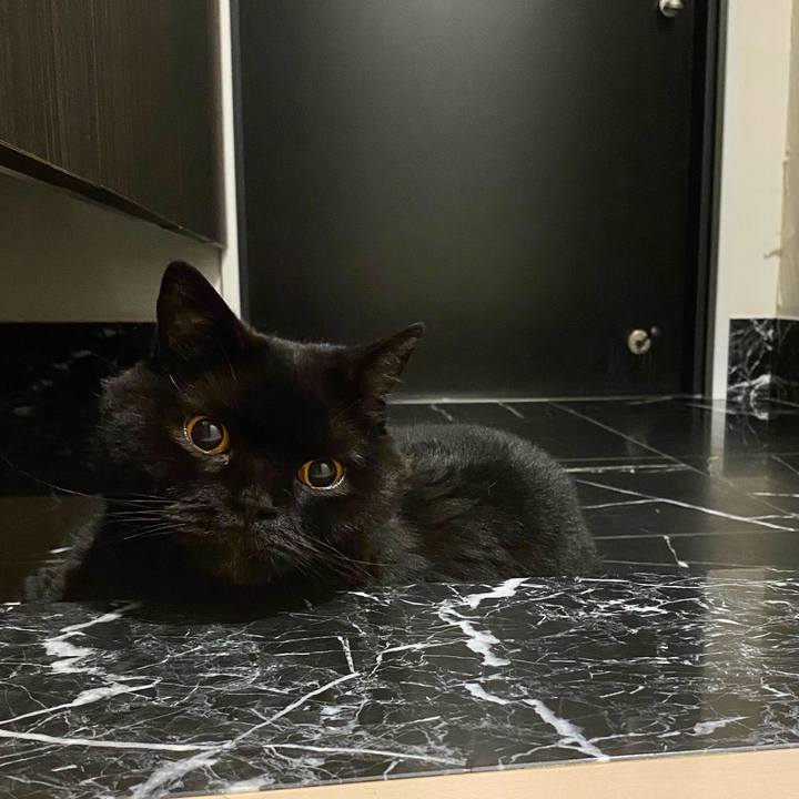 664c0f93 f360 4abf ae05 7cfa73ff6a53 1750337144487