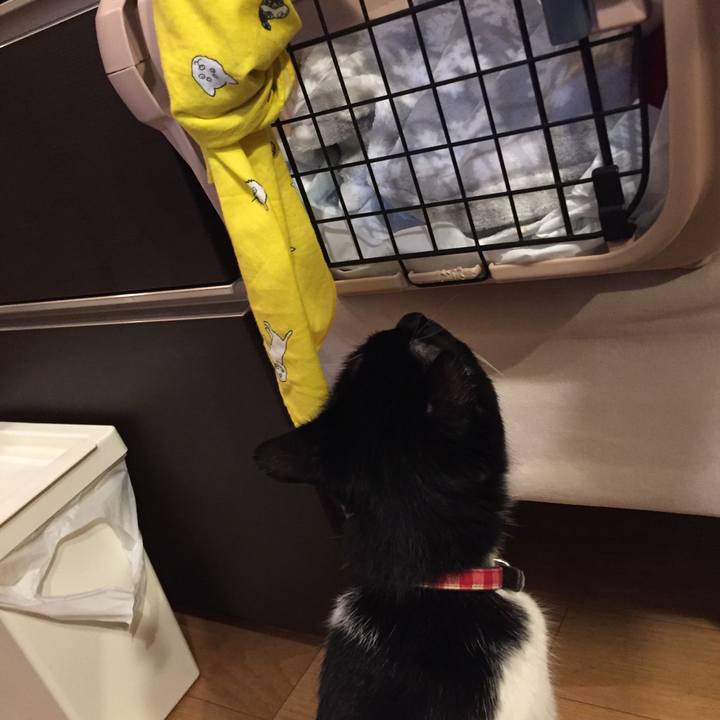 664c2d18 990b 4fd5 86fd 5f895513ccd1 1533037496594