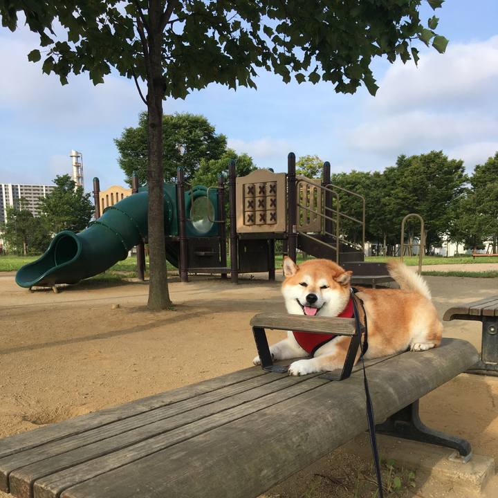 664c528e a08d 4e10 82ff 63b6d56755c1 1597793437436